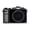 Gray Body, variant on Minolta Minolta MND65 Selfie Shot Digital Camera, Black with Black Faceplate