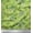 Light Green, variant on Soimoi Brown Cotton Duck Fabric Leaves,Berries & Clematis Floral Print Fabric by Yard 42 Inch Wide