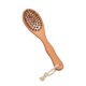 thumbnail image 1 of Cepillo Exfoliante Seco Cepillo Corporal para Baño Seco Cepillo para Espalda para Cepillado en Seco Y Húmedo, 1 of 9