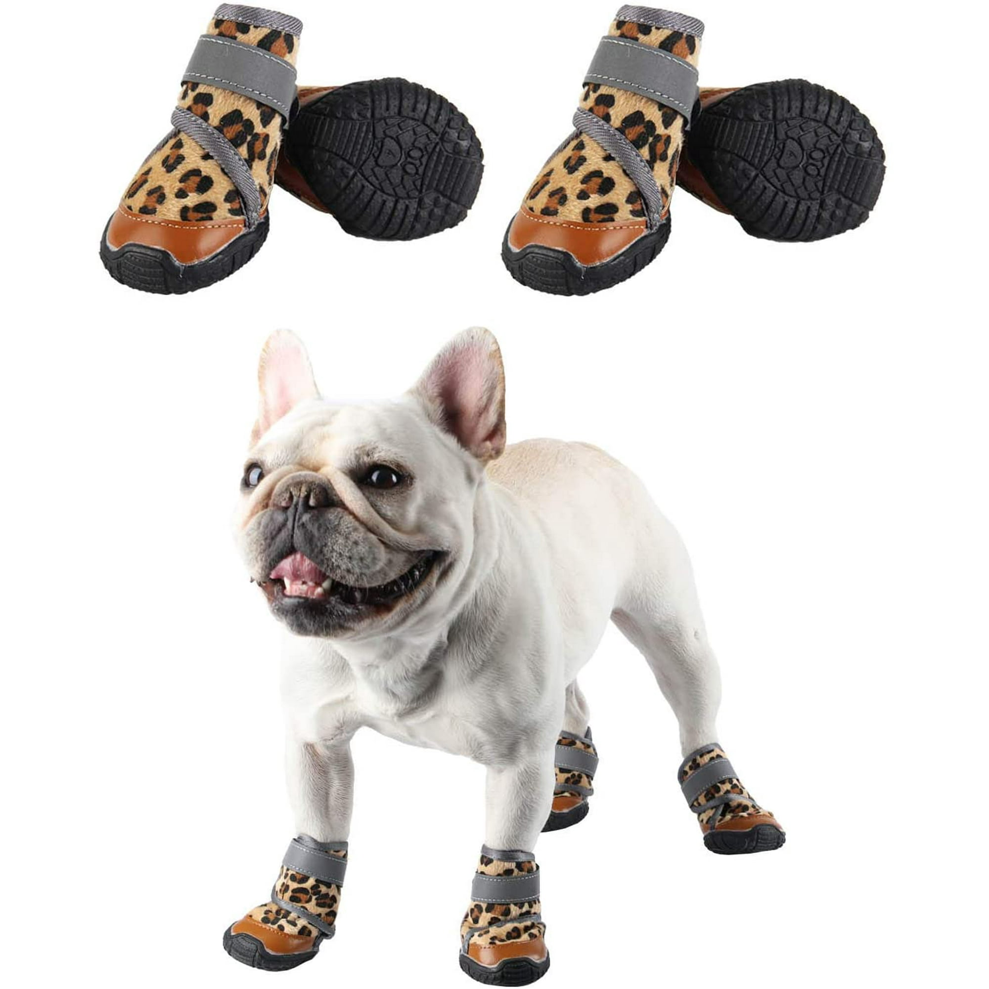 Why Cant Dogs Walk In Boots