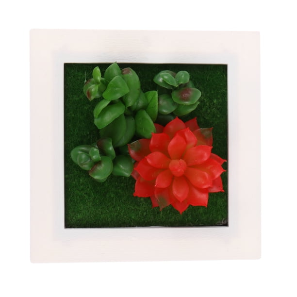 1pc artificial planta foto marco de arte arte ornamento artificial suculento decoración