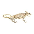 thumbnail image 4 of Nrmvnmi Halloween Scary Animal Skeleton Bat Skeleton Bat Decoration for Indoor/Outdoor Spooky Scene Party Favors Decor Holiday Décor Theme Party, 4 of 6