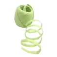 thumbnail image 2 of Rongfmy Light Green Raffia Ribbon Paper Wire for Crafts Scrapbooks Decorations 20m fruit green, 2 of 9