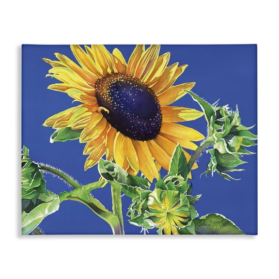Stupell Industries Traditional Sunflower on Blue Canvas Art, 30 x 24, by Julia McGrath