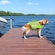 thumbnail image 5 of Chaleco salvavidas Kuoser Medium reflectante para perros, color verde, 5 of 7