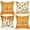 Maple Leaves, variant on Fall Maple Leaf Decorative Throw Pillow Covers 16 x 16 Set of 4, Hello Autumn Leaves Thanksgiving Cushion Case Decor, Bless Our Home Sweet Home Seasonal Farmhouse Decoration for Sofa Couch