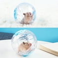 Enhance Small Pets‘ Exercise and Playtime Experience with HighQuality