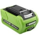 thumbnail image 1 of Batería TREE.NB 6.0Ah 40V 29472 Litio de repuesto GreenWorks, 1 of 8