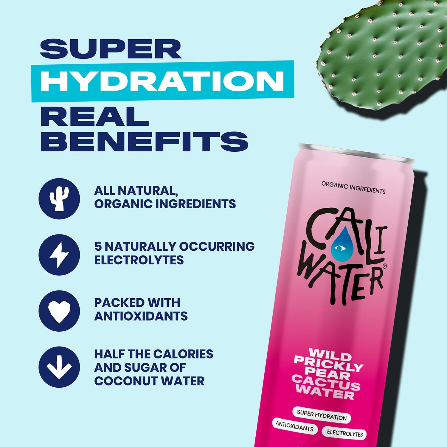 Caliwater Organic Cactus Water Variety Pack Wild Prickly Pear, Ginger Lime, Watermelon, Coconut Water Alternative, Natural Plant Based Hydration, Skin Care, Electrolyte Drinks, 12-Pack 12oz/can