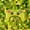 A Green Yellow, variant on Erosebridal 3D Gaming Geometric 7-Piece Twin Bedding Sets For Kids Gamer,Pixelated Miners Gamer Bedding Comforter Set For Boys,Reversible