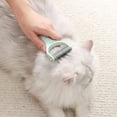 thumbnail image 5 of BESTSKY Cat Brush,Efficient Coat Grooming Dog Brush,Healthy Skin Cat Stuff,Green, 5 of 5