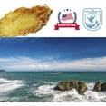 thumbnail image 4 of DABC OAK LAND Rich in Collagen Skin Beauty Cuisine Tonic Dried New Zealand Cod Fish Maw  Large 16oz/bag, 4 of 5