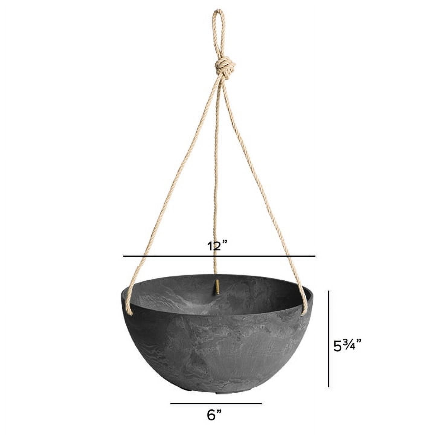 Root & Vessel Napa Hanging Bowl Planter, Black, 12"