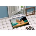 thumbnail image 2 of Carolines Treasures 7519MAT Tapis Intérieur Extérieur 18 x 27 Po. Norwich Terrier, 2 of 4