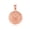 Rose, variant on Gold United States Navy Officially Licensed Shield Eagle Anchor Emblem Medallion (10K White Gold, Pendant)