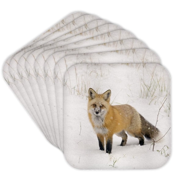 3drose, Co, Pike National Forest, Red Fox - Us06 Bja0184 - Jaynes Gallery, Set of 8 Coasters - Cork
