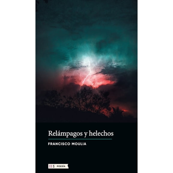 Relámpagos y helechos (Paperback)