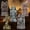 Muticolor RIP, variant on Joyfy 5 Pack Halloween Tombstone Gravestone Yard Signs with 12 Metal Stakes,17" Foam RIP Graveyard Tombstones for Decorations Outdoor Lawn Garden Decorations