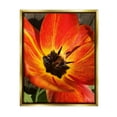 thumbnail image 3 of Stupell Industries Bold Red Poppy Flower Blossom Petals Photograph Metallic Gold Floating Framed Canvas Print Wall Art, Design by Heidi Bannon, 3 of 5