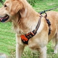 thumbnail image 2 of MISSMILE Dog Harness,Safe Evening Walks Puppy Harness,Great for All-Day Wear Harness Small Size Dog, 2 of 4