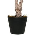 thumbnail image 4 of Northlight Artificial Lemon Tree In Black Pot with Faux Moss - 45", 4 of 9