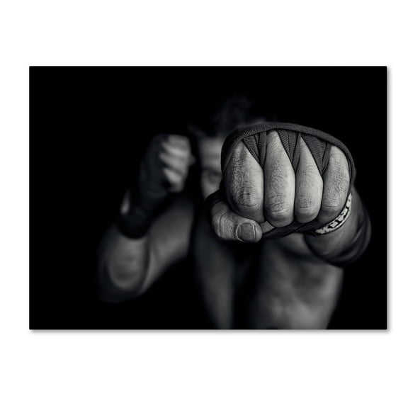 Adrian Vrican 'Left Wing' Canvas Art