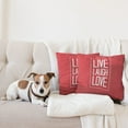 thumbnail image 4 of Ambesonne Saying Throw Pillow Cover 2 Pack, Motivation Boost, 18", Pale Grey Vermilion, 4 of 7