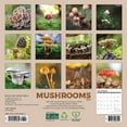 thumbnail image 2 of Mushrooms 2026 7 X 7 Mini Wall Calendar, (Hardcover), 2 of 5