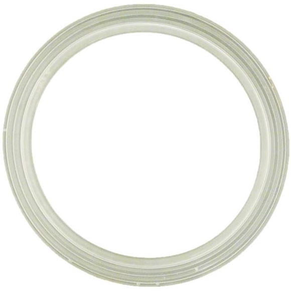 Waterway Filtre à Sable de Joint WW7111920B en Plastique