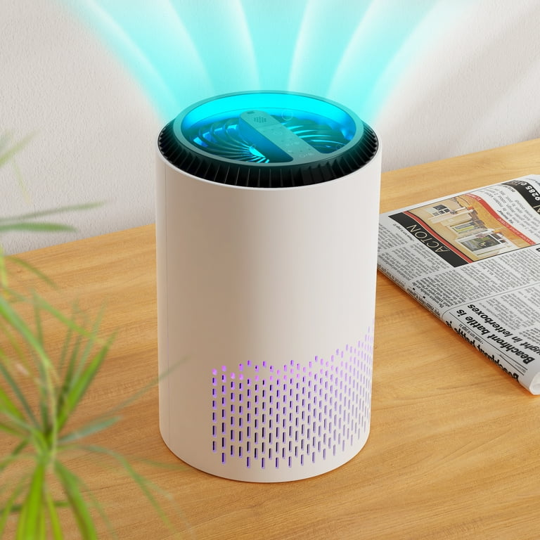 Portable air purifier 2024 with uv light