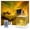 Yellow, variant on Northern Lights Projector, 16 Colors Rechargeable Aurora Light Projector & Mood Lighting Galaxy Lamp
