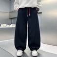 thumbnail image 2 of CONROSES Boys Baggy Sweatpants Wide Leg Baggy Pant for Child Embroidery Elastic Waist Drawstring Streetwear Jogger Trousers with Pockets, 2 of 4