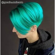 Arctic Fox Semi Permanent Hair Dye 8 Oz. (Electric Paradise)