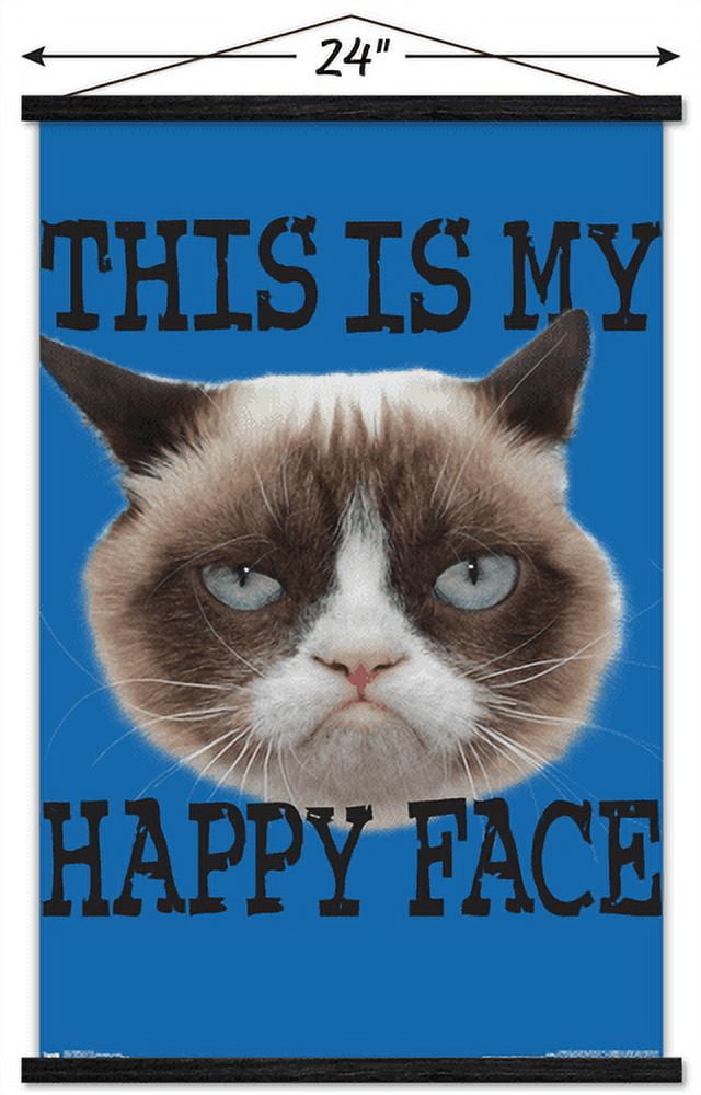 Grumpy Cat - Face Wall Poster with Magnetic Frame, 22.375" x 34"