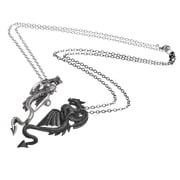 P811 Draconic Tryst Necklace