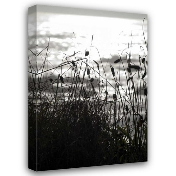 Erin Berzel 17x24 Gallery Wrapped Canvas Wall Art Titled - Coastal Grass II