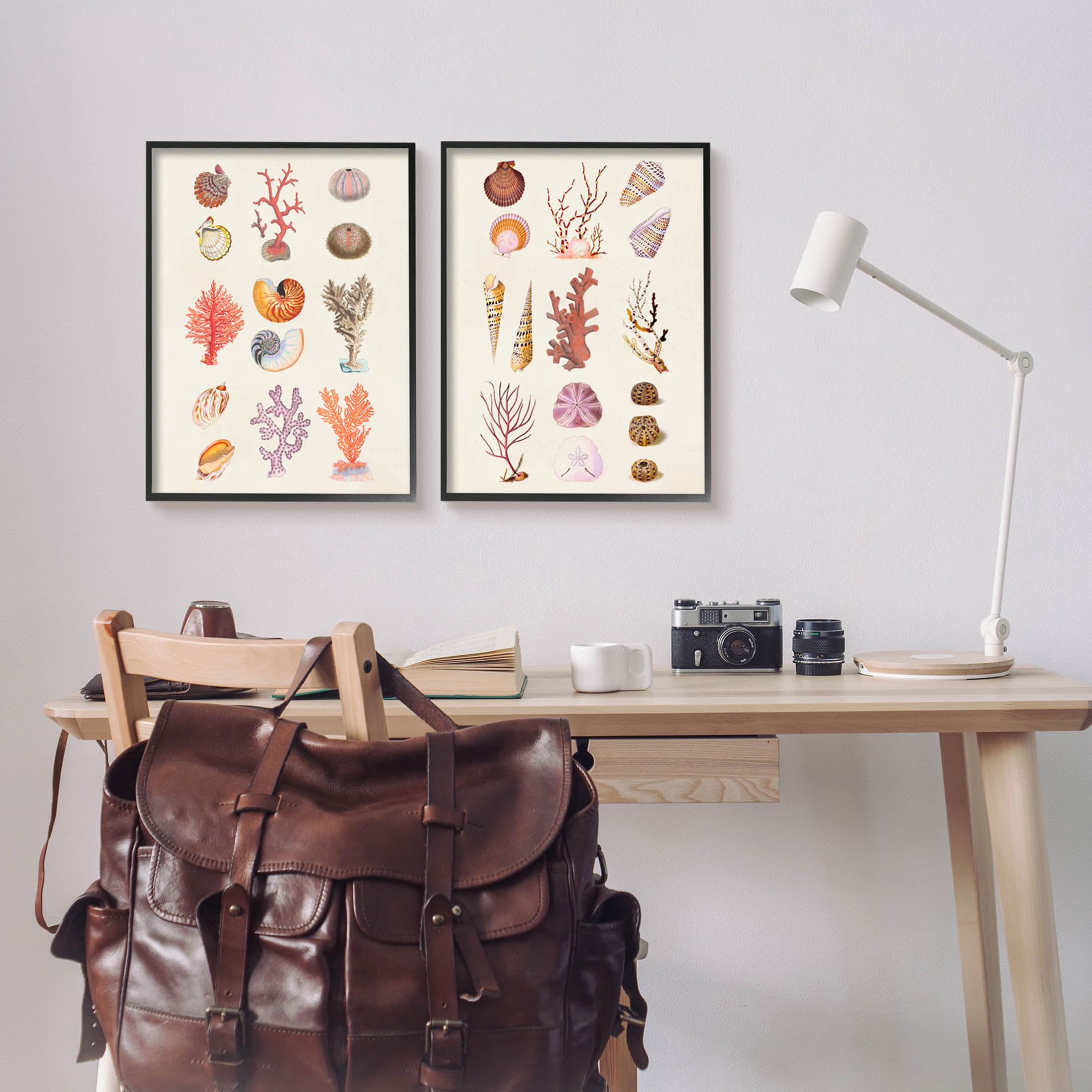 Stupell Industries Varied Aquatic Sea Life Graphic Art Black Framed Art Print Wall Art, Set of 2, Design by Vision Studio