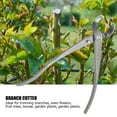 thumbnail image 6 of Rupoun Multifunction Carbon Steel Garden Branch Cutter Long Handle Bonsai Pruning Shear (8.5 inches / 21.7 cm), 6 of 9