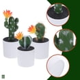 thumbnail image 3 of WASHWEPE 3Ud Bonsai Artificial Multi Color Para Oficina Y Hogar Con Apariencia Natural Y Fácil Cuidado, 3 of 6