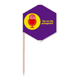 thumbnail image 1 of Dramatic Life Protagonist Toothpick Flags Cupcake Picks Party Celebration, 1 of 3