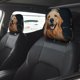 thumbnail image 2 of Golden Retriever Funda Protectora Universal para Reposacabezas de Coche, Funda Elástica para Reposacabezas de Asiento de Auto, Funda de Tela Antipolvo, Accesorios de Interior 2 Piezas, 2 of 6
