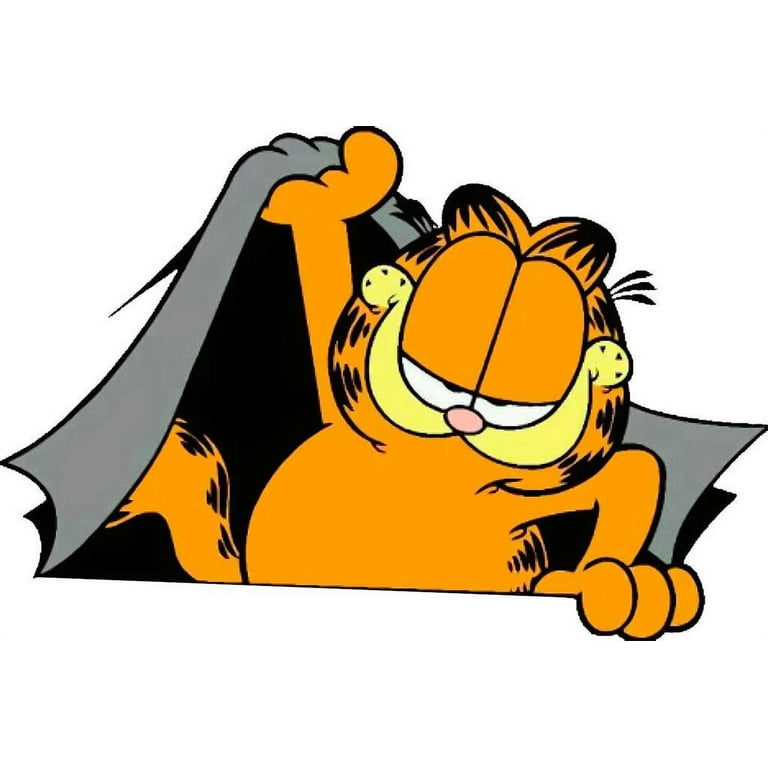 Garfield The Cat and Odie Talking Wall Cartoon Character Decals