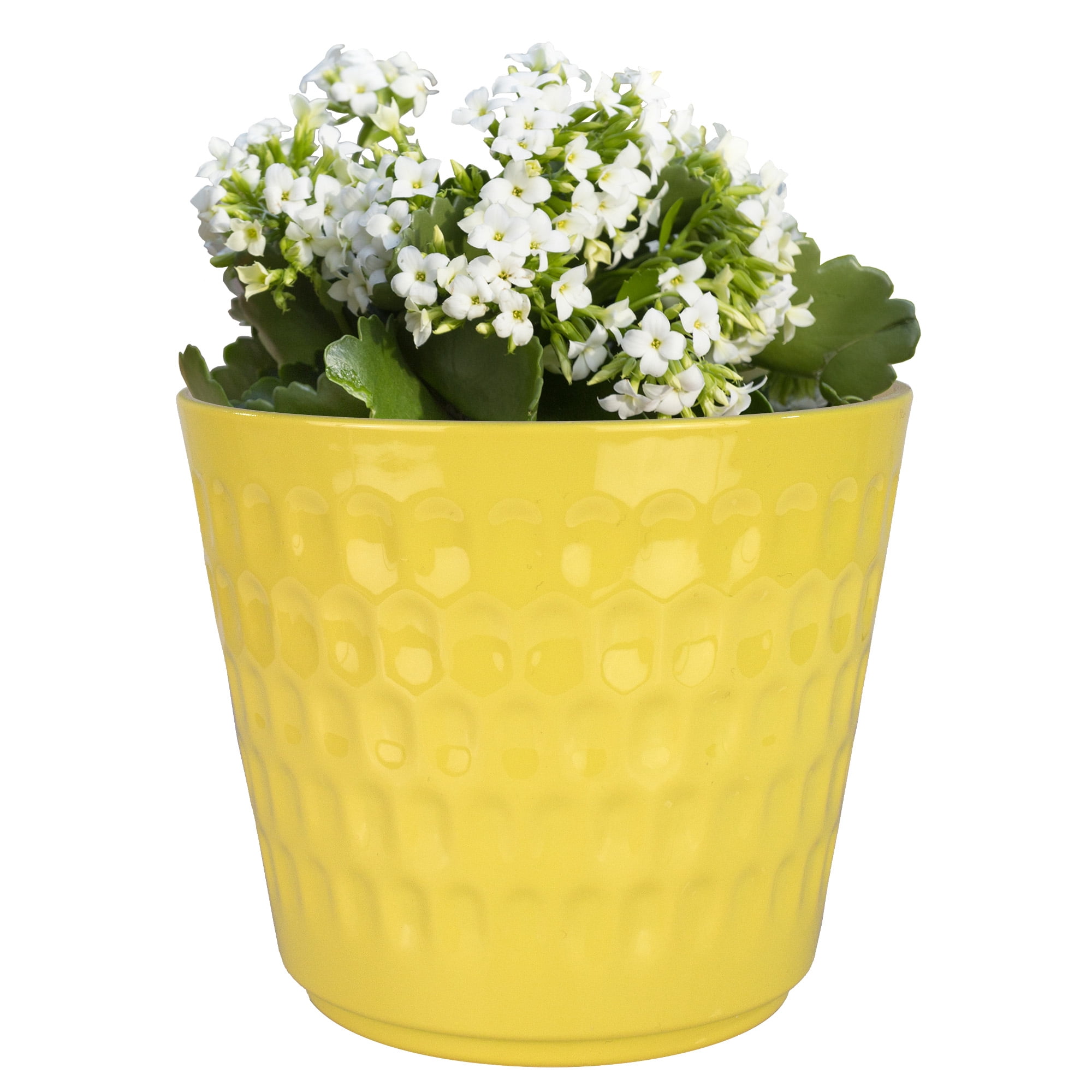 Mainstays 6in DIA Rory Yellow Plastic Planter