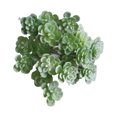 thumbnail image 5 of Artificial Succulent Plants - Faux Succulents Unpotted Fake Succulent Plants, Premium Crafting DIY Floral Decor for Home Garden Office Party, 5 of 8