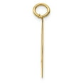 thumbnail image 2 of FB Jewels 14k Golden Retriever Disc Charm, 2 of 4