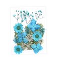 thumbnail image 2 of Flores secas prensadas, pegatinas de maquillaje de flores secas, manualidades de bricolaje para álbumes de recortes Azul, 2 of 9