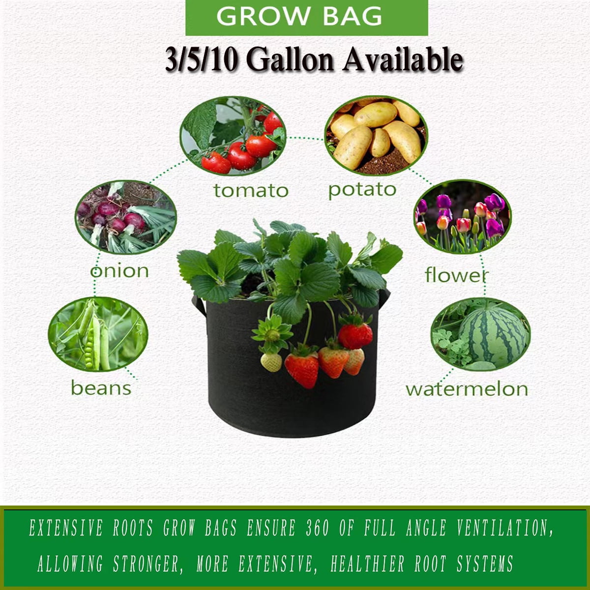 3/5/10 Gallon Growing Bag, Inflatable Fabric Flowerpot with Handle