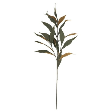 37" Green Long Leaf Eucalyptus Stem by Ashland® - Artifical Fall Florals for Crafting and Home Decor