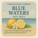thumbnail image 3 of Velas levantadas de verano con cera de soja Melts Farm, paquete de 5, 480 ml, 3 of 7