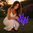 thumbnail image 6 of Solar Powered Garden Flower Stake Lights, IP65 Waterproof LED Floral Lamp, Auto On Outdoor Landscape Lighting For Yard Pathway Patio Backyard Evening Holiday Decoration, 6 of 6